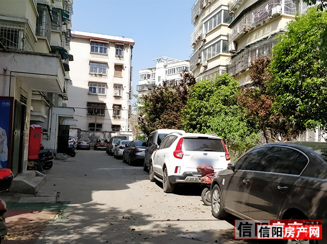 信阳金杯花园,信阳金杯花园房价,楼盘户型,周边配套,交通地图,信阳市