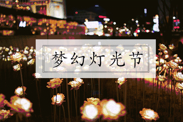 【罗山建业府】中秋十一假期 被梦幻灯光艺术节承包啦