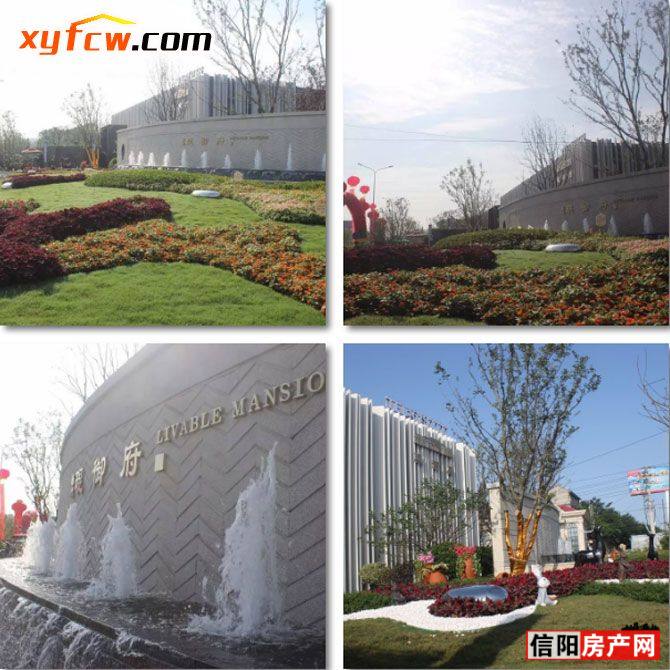 南湾·琨御府今日盛大开府,惊艳不止这一刻!_信阳房产网资讯