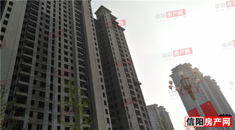 实景图