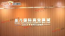 东方国际商业新城