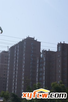 实景图