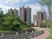 活动图