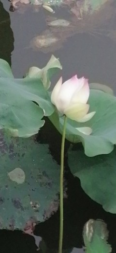 门面出租